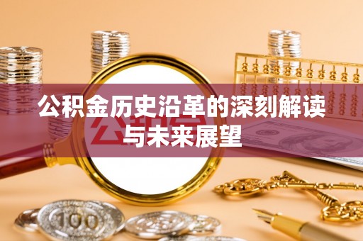 望德堂区公积金历史沿革的深刻解读与未来展望