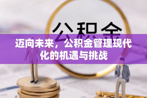望德堂区迈向未来，公积金管理现代化的机遇与挑战