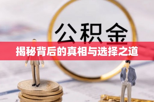 望德堂区揭秘背后的真相与选择之道