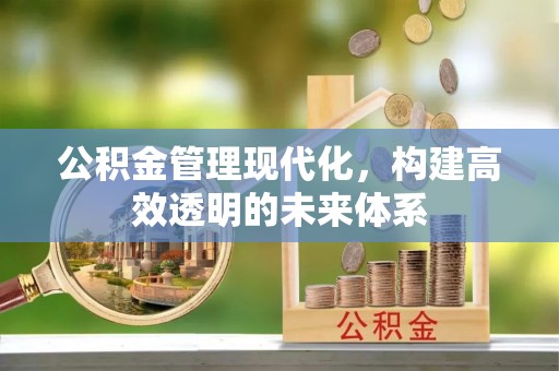 望德堂区公积金管理现代化，构建高效透明的未来体系