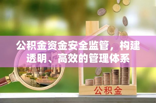 望德堂区公积金资金安全监管，构建透明、高效的管理体系
