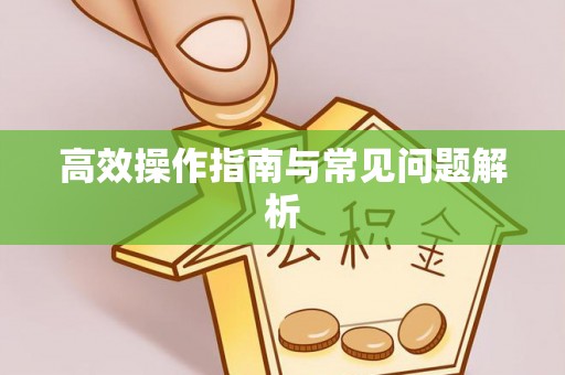 望德堂区高效操作指南与常见问题解析