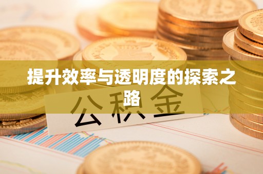 望德堂区提升效率与透明度的探索之路