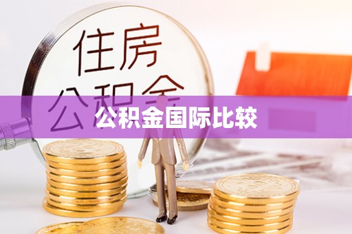 望德堂区公积金国际比较