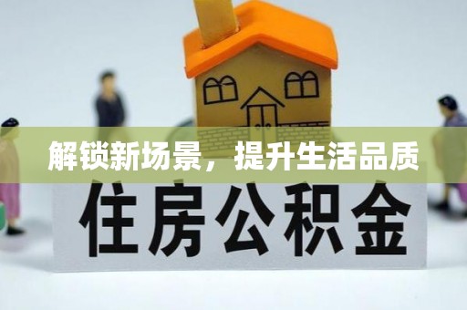 望德堂区解锁新场景，提升生活品质