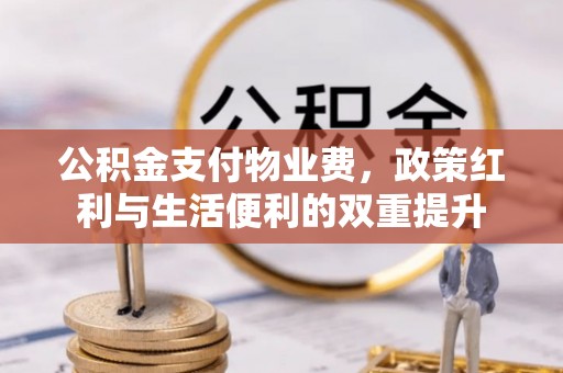 望德堂区公积金支付物业费，政策红利与生活便利的双重提升