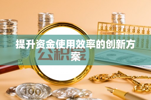 望德堂区提升资金使用效率的创新方案