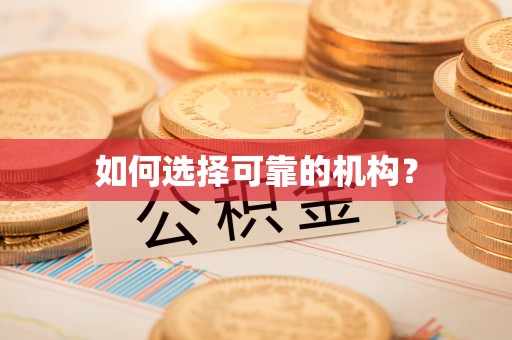 望德堂区如何选择可靠的机构？