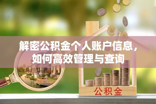 望德堂区解密公积金个人账户信息，如何高效管理与查询