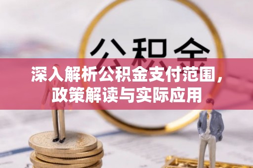 望德堂区深入解析公积金支付范围，政策解读与实际应用
