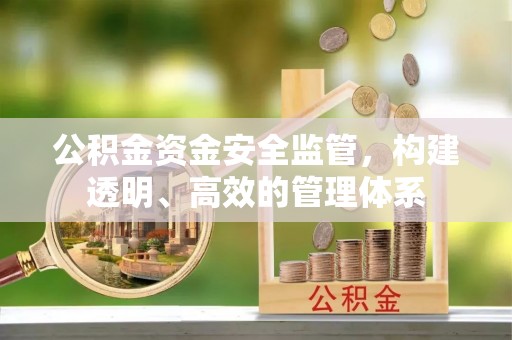 望德堂区公积金资金安全监管，构建透明、高效的管理体系