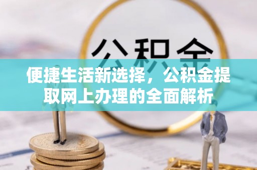 望德堂区便捷生活新选择，公积金提取网上办理的全面解析