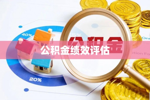 望德堂区公积金绩效评估