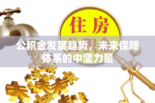 望德堂区公积金发展趋势，未来保障体系的中坚力量