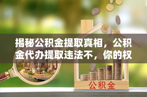 望德堂区揭秘公积金提取真相，公积金代办提取违法不，你的权益如何保障？