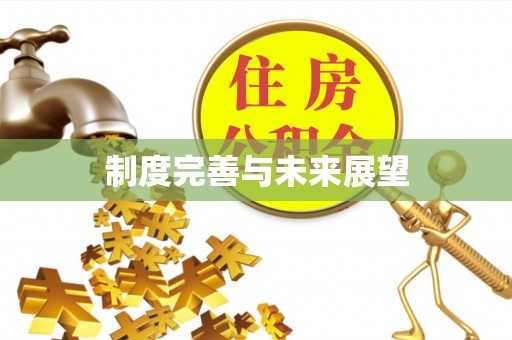 望德堂区制度完善与未来展望