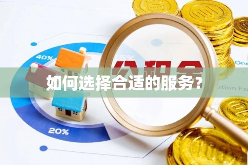 望德堂区如何选择合适的服务？
