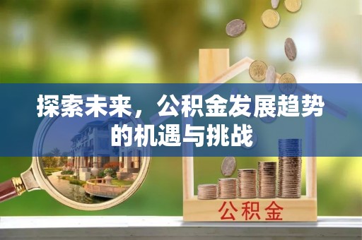 望德堂区探索未来，公积金发展趋势的机遇与挑战