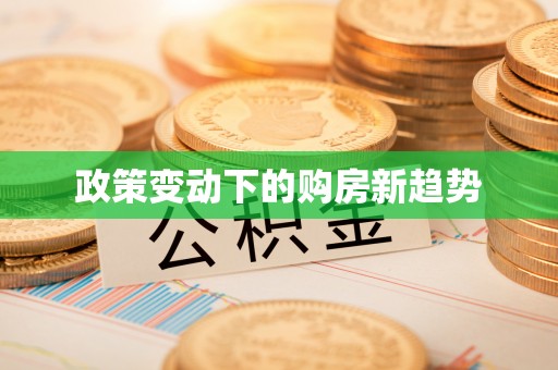 望德堂区政策变动下的购房新趋势