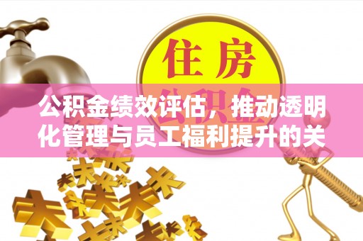 望德堂区公积金绩效评估，推动透明化管理与员工福利提升的关键