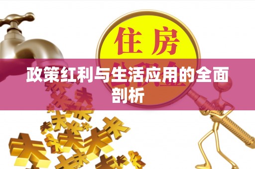 望德堂区政策红利与生活应用的全面剖析