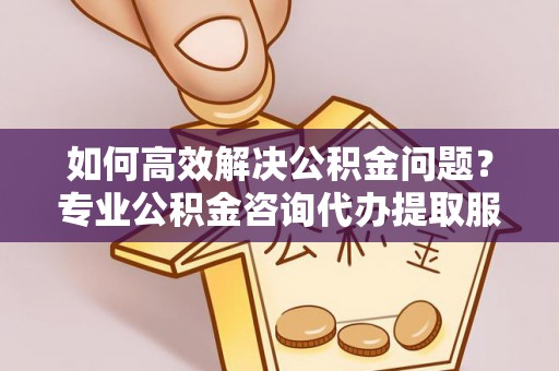 望德堂区如何高效解决公积金问题？专业公积金咨询代办提取服务来帮你