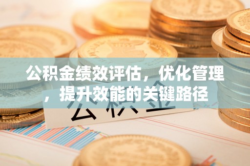 望德堂区公积金绩效评估，优化管理，提升效能的关键路径