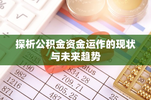望德堂区探析公积金资金运作的现状与未来趋势