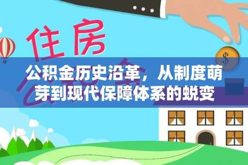 望德堂区公积金历史沿革，从制度萌芽到现代保障体系的蜕变