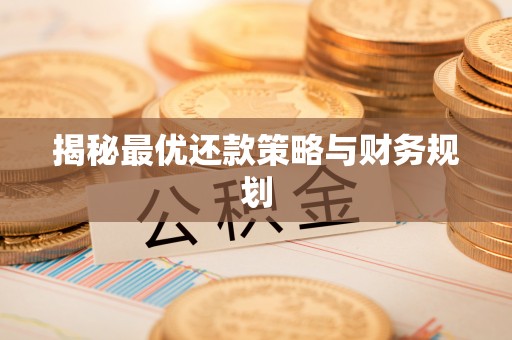 望德堂区揭秘最优还款策略与财务规划