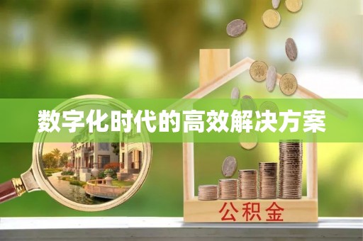 望德堂区数字化时代的高效解决方案