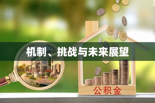 望德堂区机制、挑战与未来展望